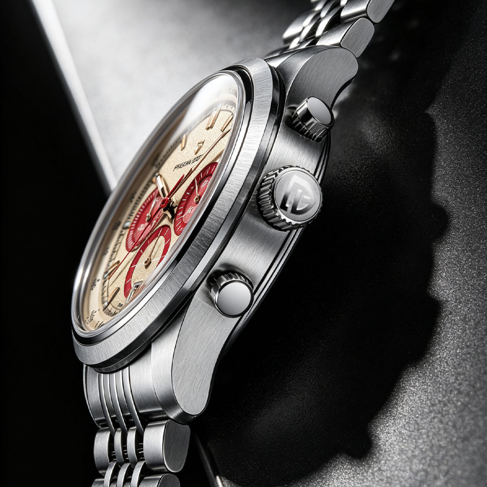 Reloj PAGANI DESIGN Nuevo para - Luxury Watch Design reseña y precio